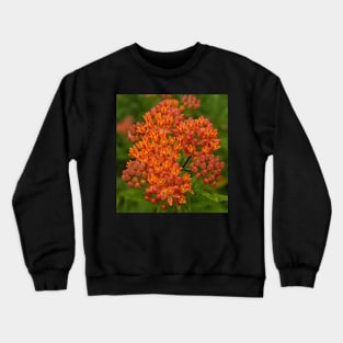 Cluster of Orange Blossoms Photographic Image Crewneck Sweatshirt